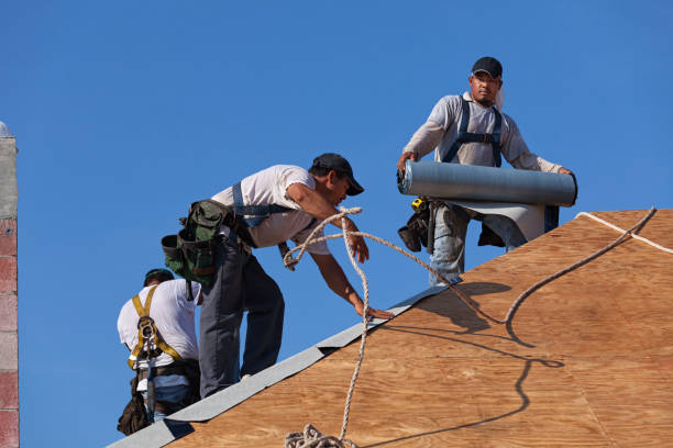 Best Metal Roofing Contractor  in North Hudson, WI